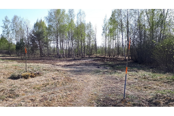 Mežizstrāde un mežkopība. Teritoriju sakopšana, koku izzāģēšana, zāles pļaušana un mulčēšana, zaru šķeldošana