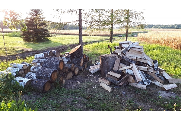 Mežizstrāde un mežkopība. Teritoriju sakopšana, koku izzāģēšana, zāles pļaušana un mulčēšana, zaru šķeldošana