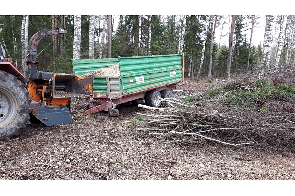 Mežizstrāde un mežkopība. Teritoriju sakopšana, koku izzāģēšana, zāles pļaušana un mulčēšana, zaru šķeldošana