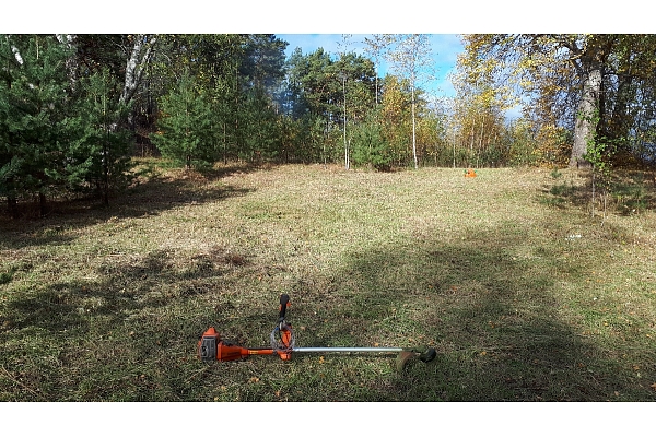 Mežizstrāde un mežkopība. Teritoriju sakopšana, koku izzāģēšana, zāles pļaušana un mulčēšana, zaru šķeldošana