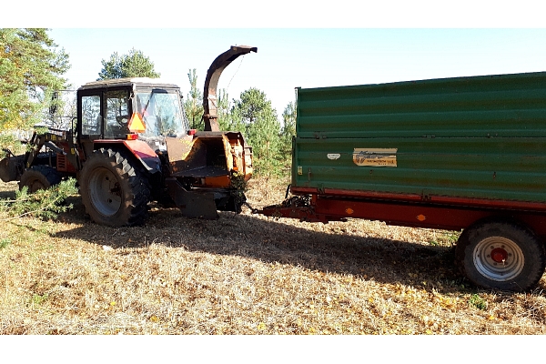 Mežizstrāde un mežkopība. Teritoriju sakopšana, koku izzāģēšana, zāles pļaušana un mulčēšana, zaru šķeldošana