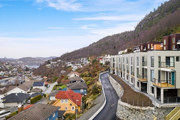 Koka karkasa rindu mājas