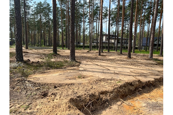 Atmežošanas pakalpojumi