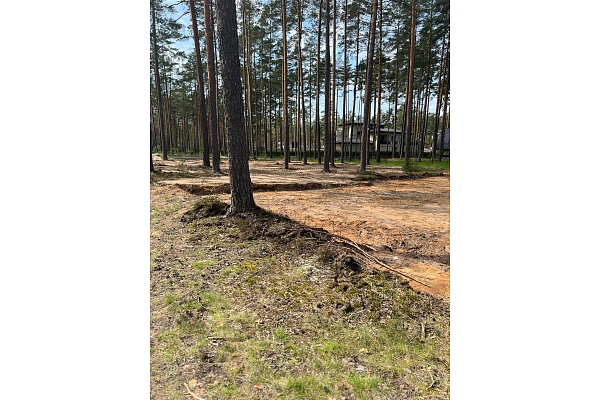 meža zemes transformācija