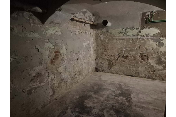 Damp Detectives pagrabu diagnostika