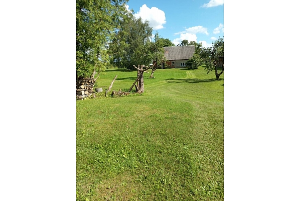 Pļaušana un trimmerēšana