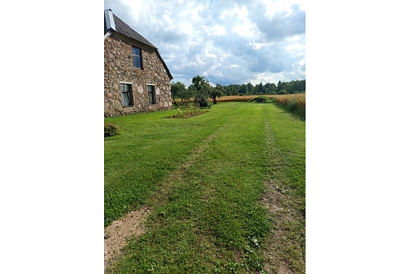 Pļaušana
