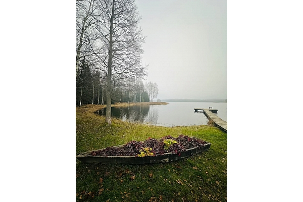 Niedru pļaušana un izcelšana