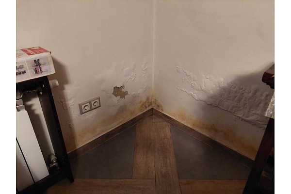 Damp Detectives mitruma ekspertīze