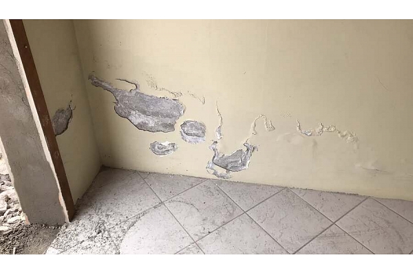 Damp Detectives sienu diagnostika