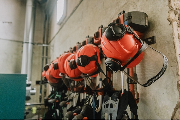 Jaunaudžu kopšana un meža apsaimniekošana Kurzemē