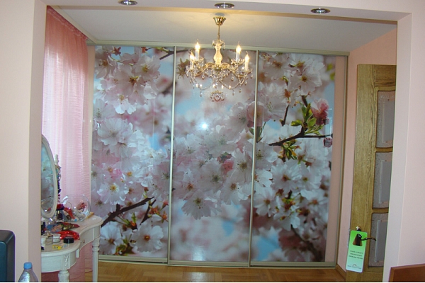 Skapis. Ar bīdāmām stikla durvīm, ar fototapetēm.