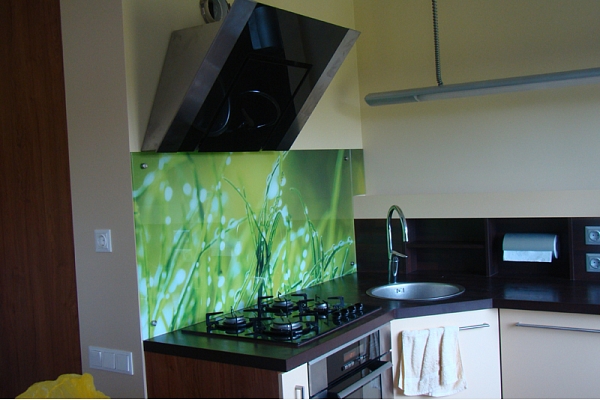 Virtuves stikla panelis ar fotoplēvi “Zāle”