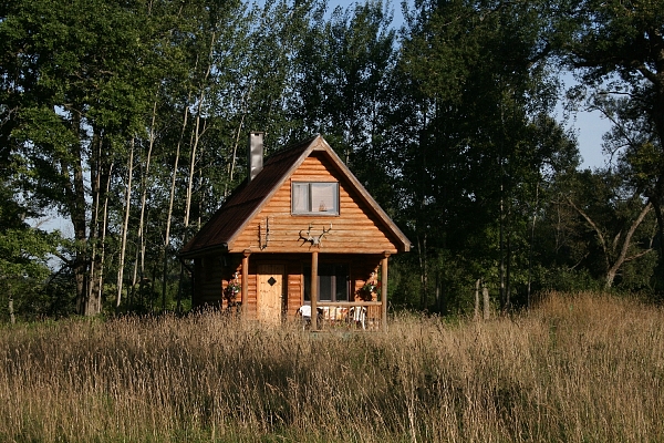 Viesu māja