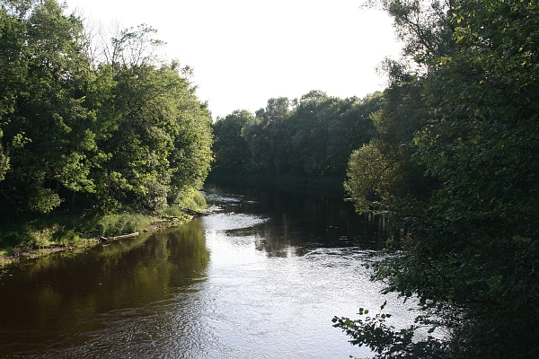 Aiviekste