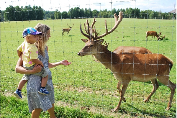safari parks