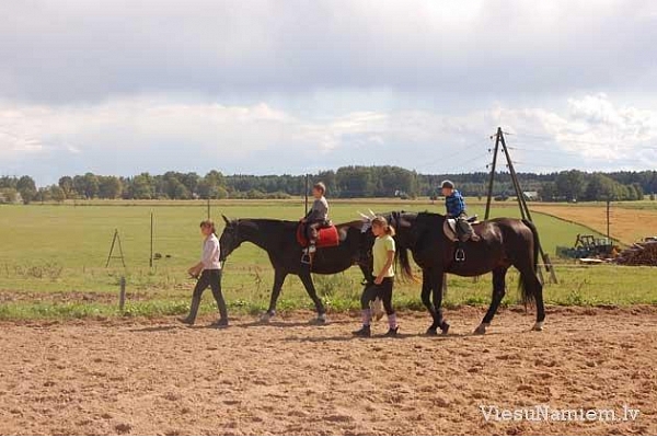 Viesu māja Krustpils