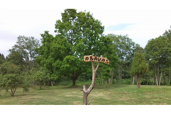 Abavas laivas, laivu noma, motorlaivu noma, laivas, laivošana, atpūtas vietas