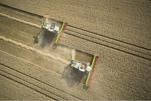 Graudu kombains Claas