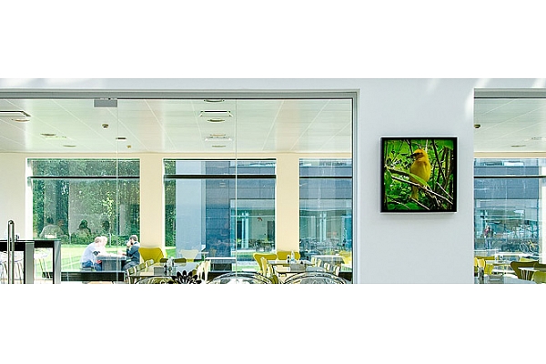 Stikla paneļi birojos