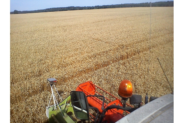 Kalnieši, augkopība