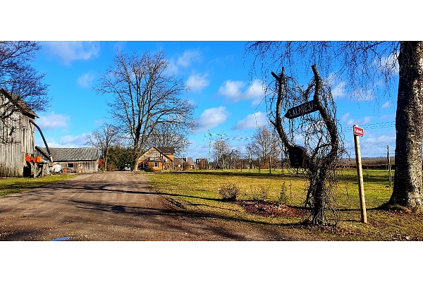 Kalnieši, augkopība