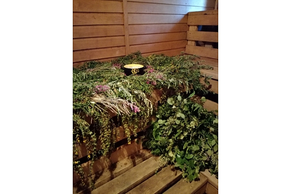 "Zaķīšu pirtiņa", Viesu nams