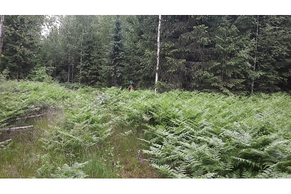 Topogrāfijas pakalpojumi