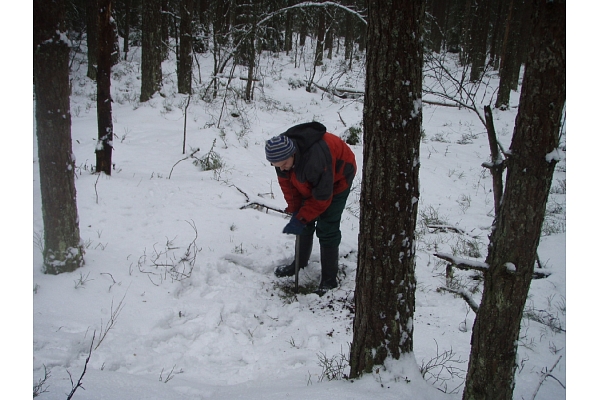 Topogrāfijas pakalpojumi