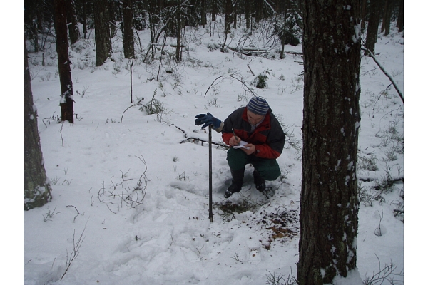 Ģeoloģijas pakalpojumi