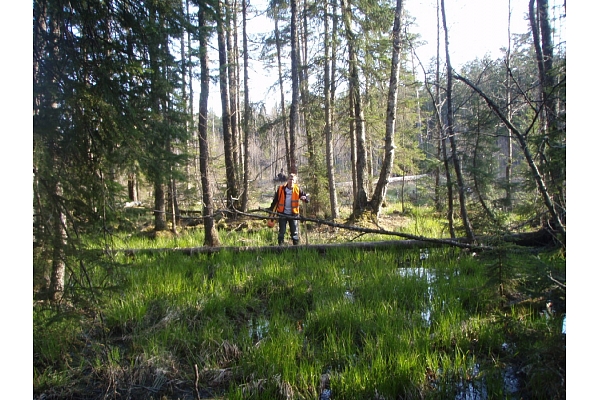 Ģeotehniskā izpēte