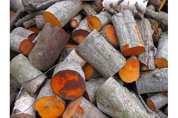 Malka, malkas ražošana, sagatavošana pēc vajadzīgā lieluma (zāģēšana, skaldīšana)  malkas tirdzniecība, malkas piegāde Vidzemē.