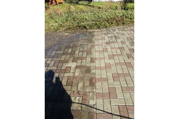 Virsmu izzāģēšana, arboristi.