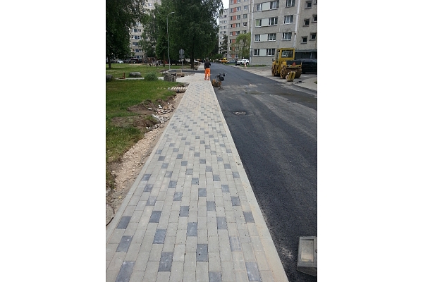 Pļaušana, pļaušanas darbi, lapu savākšana, aizvešana.
