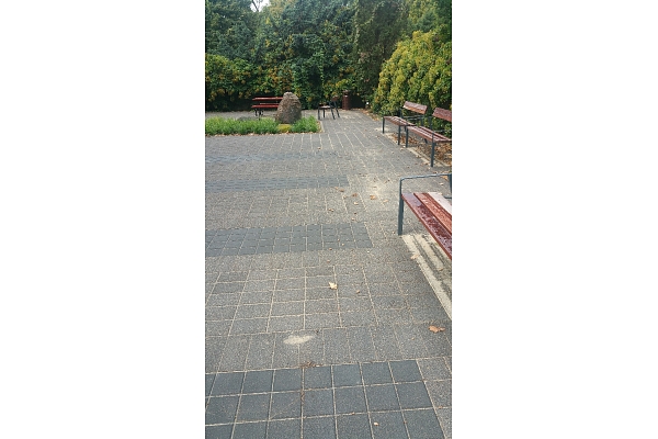 Bruģa remonts, labošana, parku, dārzu labiekārtošana.