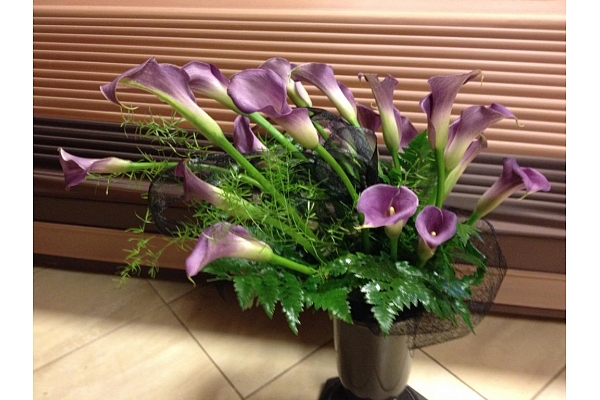 Klusums apbedīšanas birojs