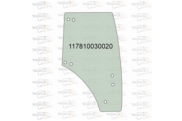 117810030020
