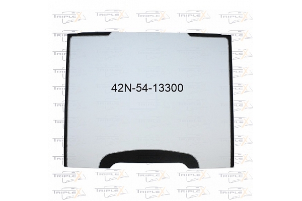 42N-54-13300