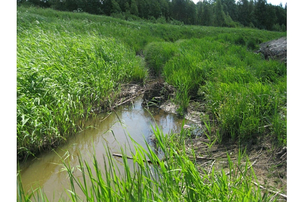 Skalde notekgrāvju atjaunošana