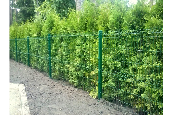 Paneļu žogs h1500