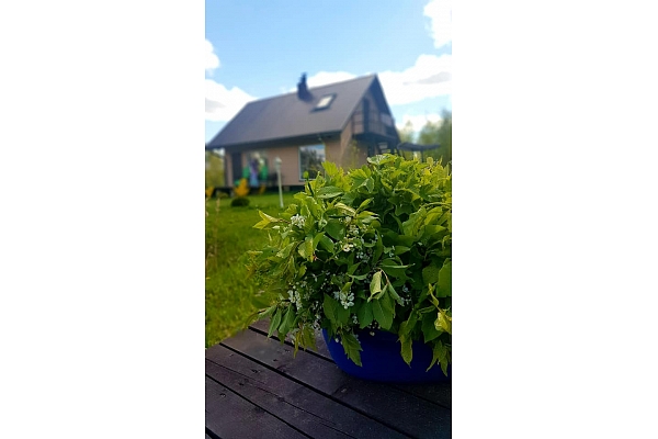 Lieliska pirts, viesu nams "Burziņi"
