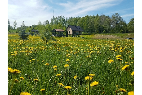 Lieliska pirts, viesu nams "Burziņi"