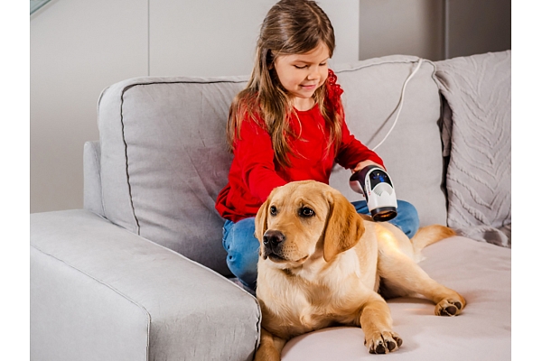 BIOPTRON mazina sāpju sajūtu jūsu mājdzīvniekiem