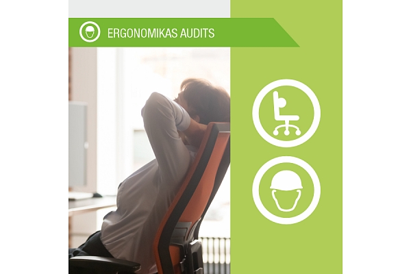 Ergonomikas audits