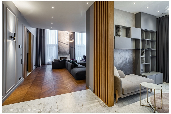 viesistabas dizains halle