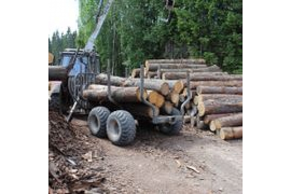 Kokmateriālu iekārta -  zāģbaļķu pārvietošana