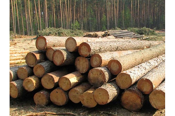 Kokmateriālu tirdzniecība