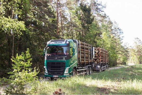 kokmateriālu iepirkšana un transportēšana