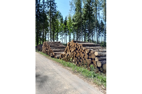 krautuve