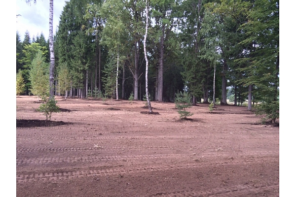 Laukuma līdzināšana